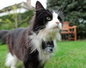 ��� ����� ������ �� �����?